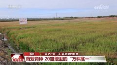 “定制养分”促丰收、一